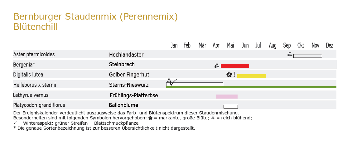 Blütenchill - Staudenmischpflanzung als Fertigmischung vorgemischt