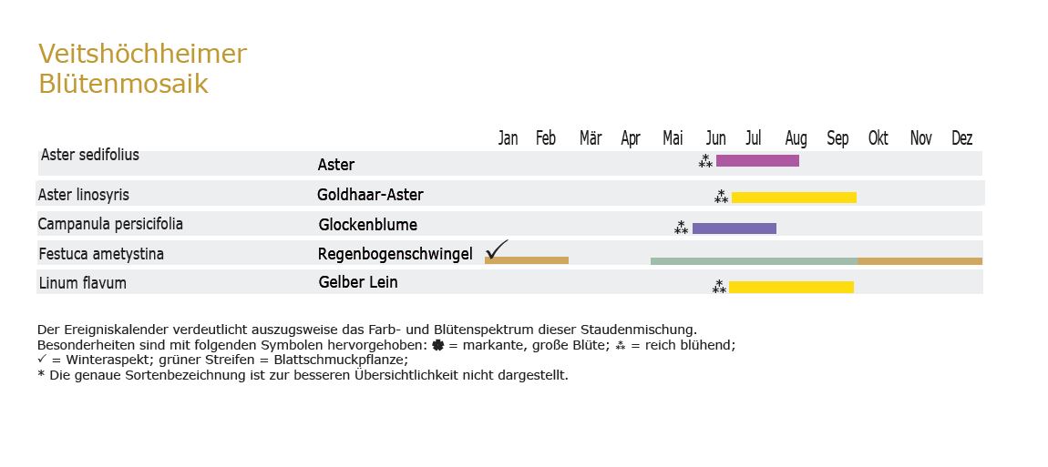 Blütenmosaik - Staudenmischpflanzung als Fertigmischung vorgemischt