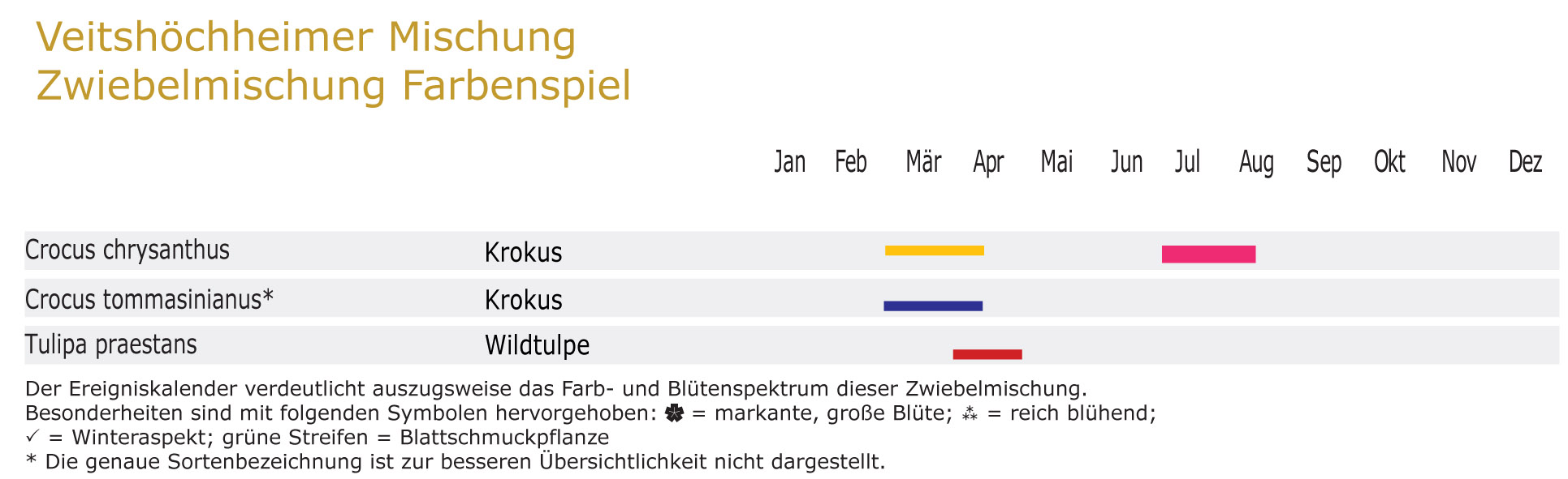 Farbenspiel - Zwiebel-und Knollenmischung