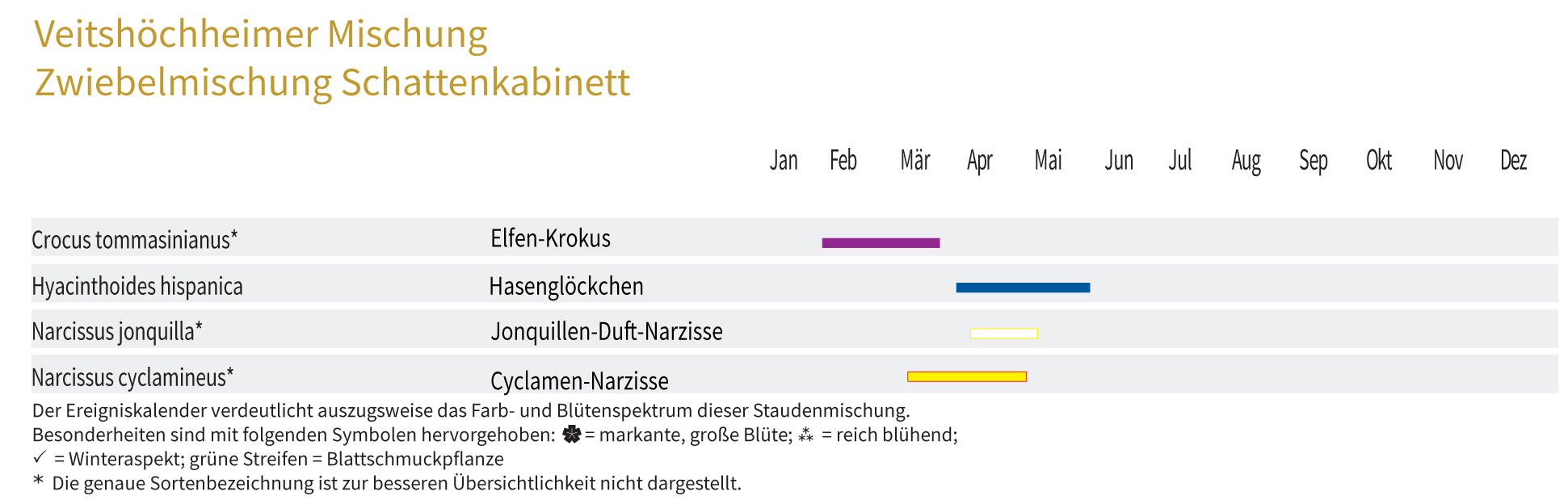 SCHATTENKABINETT-Zwiebel-und Knollenmischung