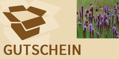 Gutschein
