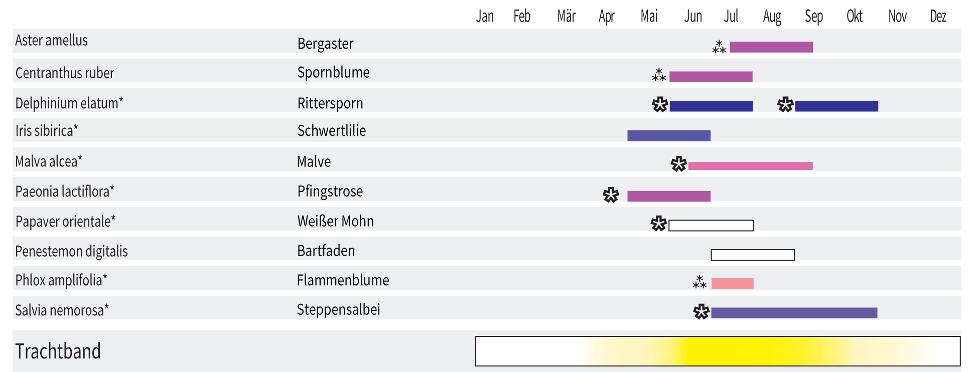 Landhausblüte blau-weiß-rosa - Staudenmischpflanzung als Fertigmischung vorgemischt