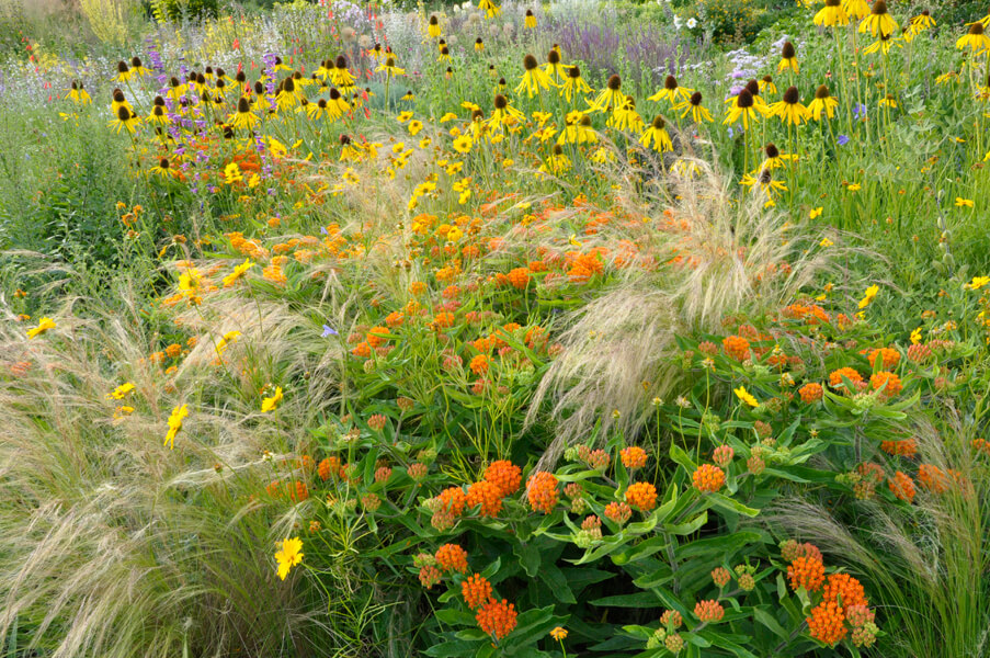 Professionelle Gartenfotografie - kommerzielle Nutzung