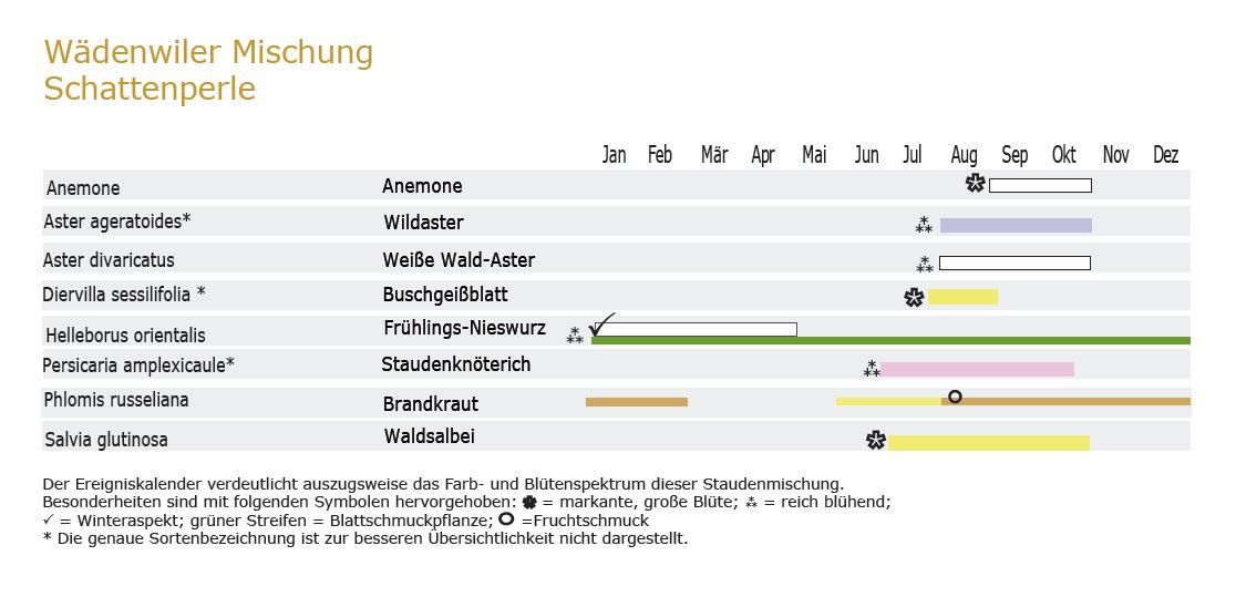 Schattenperle - Staudenmischpflanzung als Fertigmischung vorgemischt