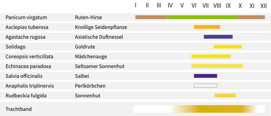 Erfurter kleiner Indianersommer