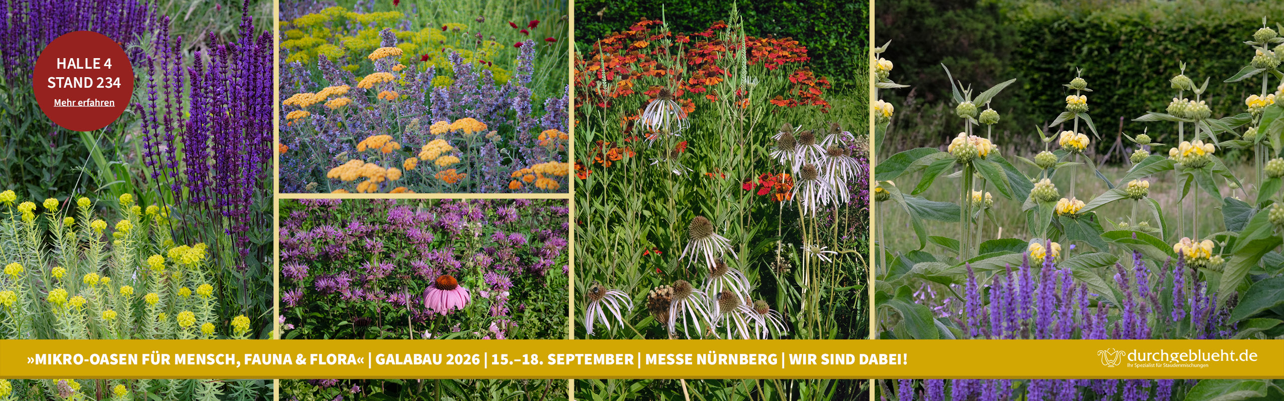 "Mikro-Oasen für Mensch, Fauna & Flora" | GaLaBau 2026 | 15.-18. September | Messe Nürnberg | Wir sind dabei! – Halle 4, Stand 234 – Mehr erfahren