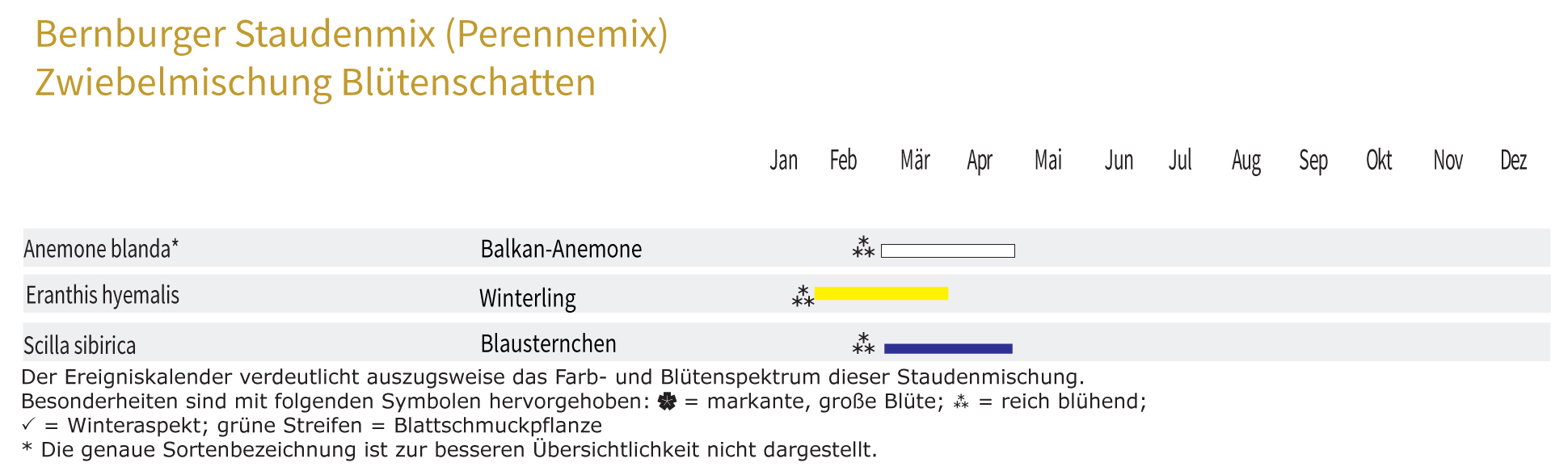 Blütenschatten - Zwiebel-und Knollenmischung