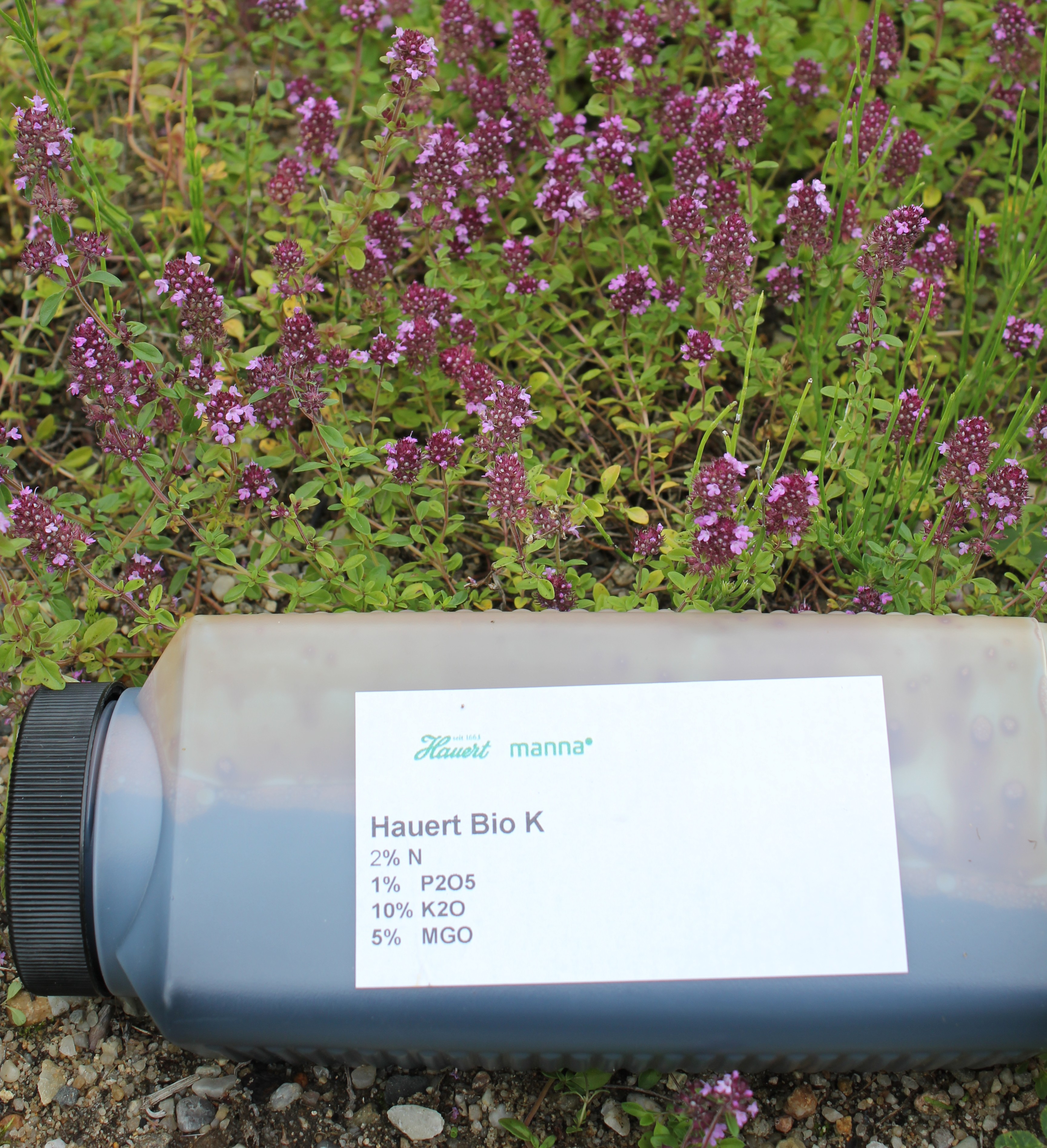 Bio-K-Mg-flüssig-Wurzelstart 20 Liter 
