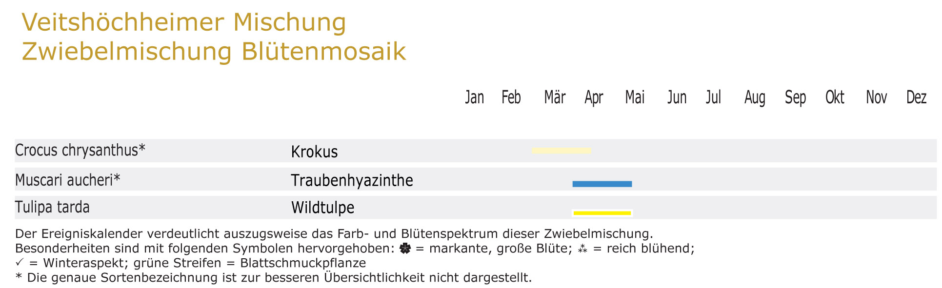 BLÜTENMOSAIK- Zwiebel-und Knollenmischung