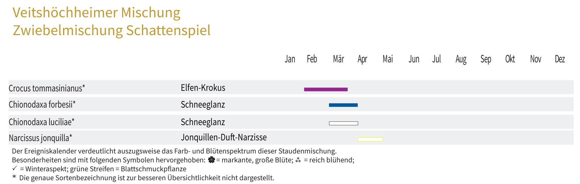 SCHATTENSPIEL-Zwiebel-und Knollenmischung