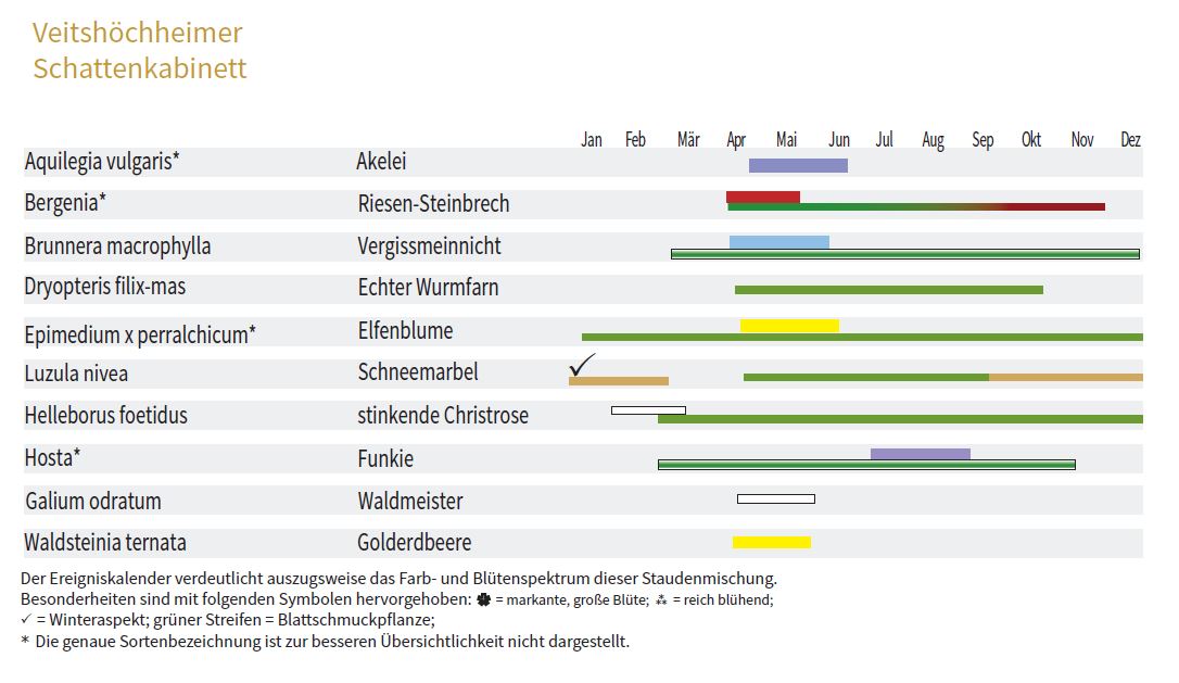 SCHATTENKABINETT - Staudenmischpflanzung als Fertigmischung