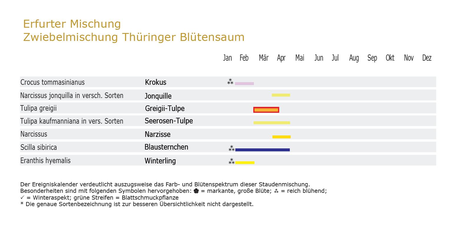 Thüringer Blütensaum - Zwiebel-und Knollenmischung