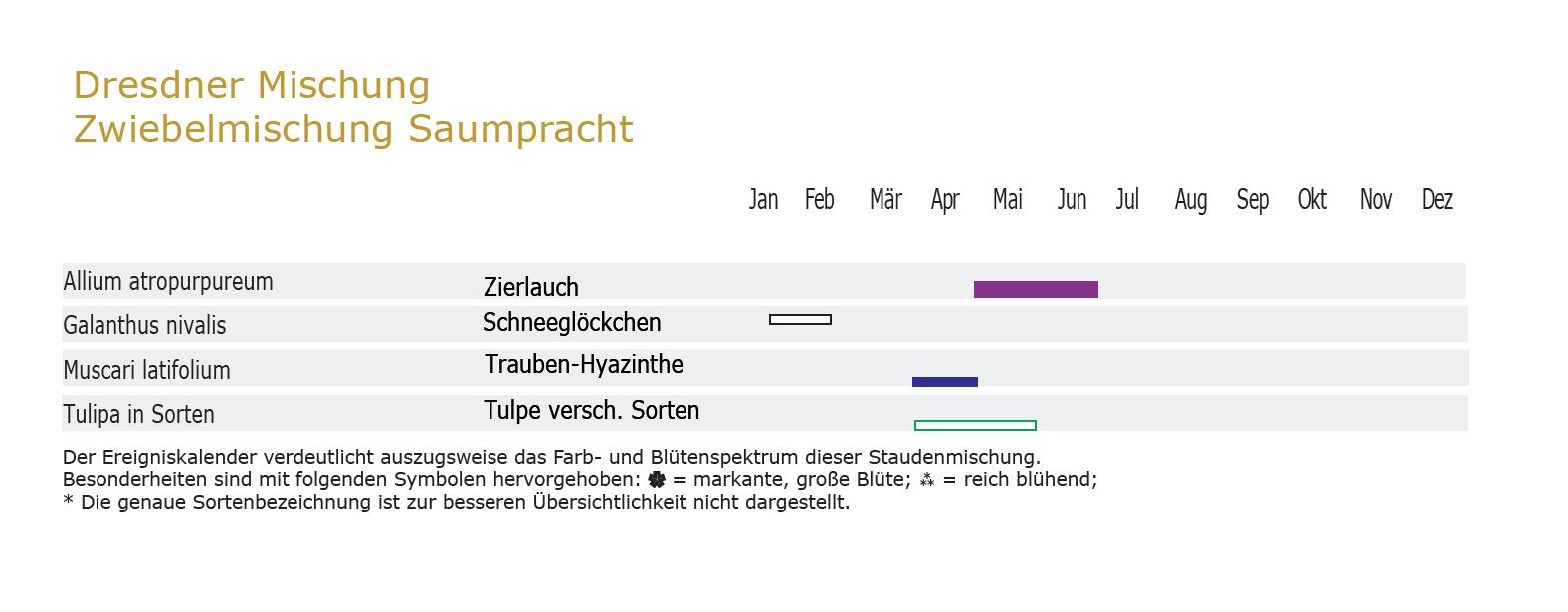 Saumpracht - Zwiebel-und Knollenmischung