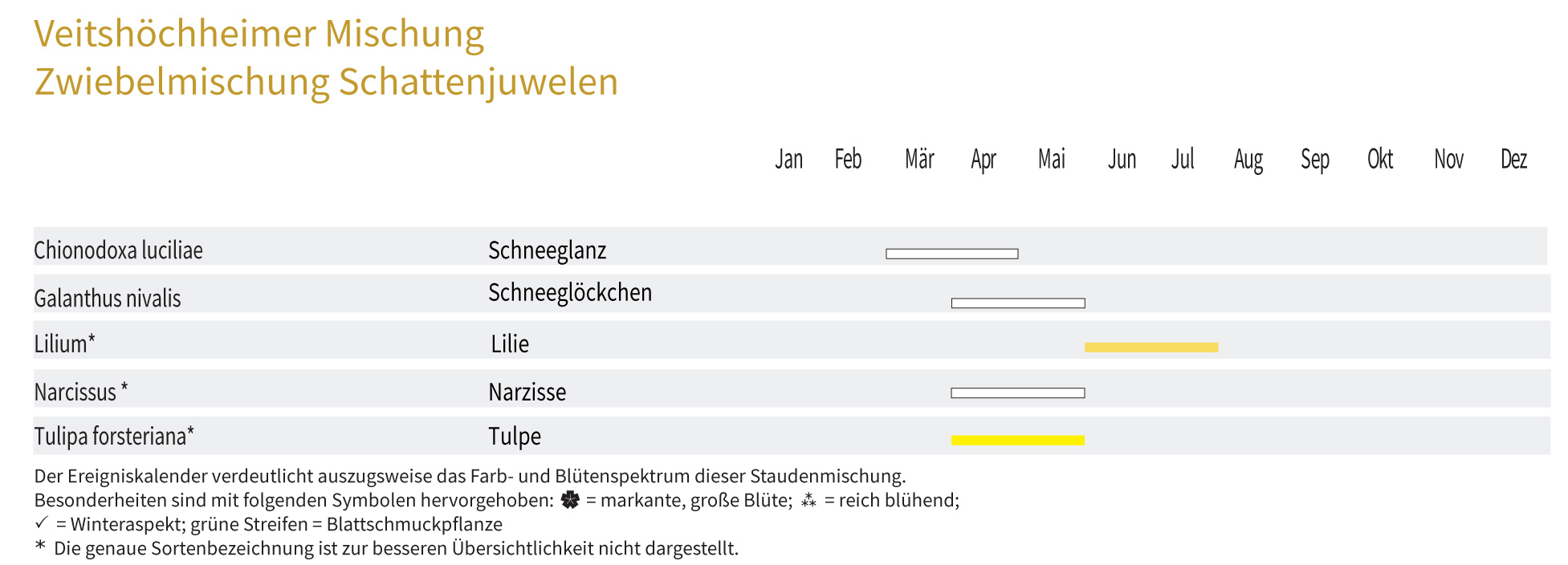 SCHATTENJUWELEN- Zwiebel-und Knollenmischung