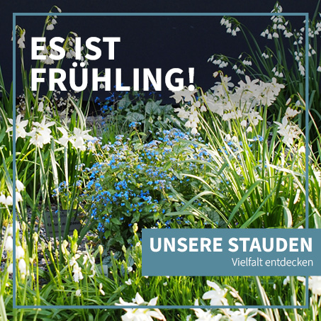 Es ist Frühling! Unsere Staudenvielfalt entdecken