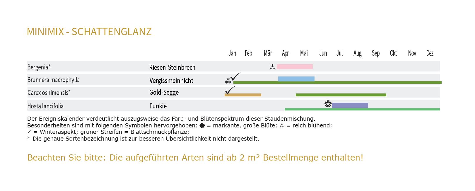 SCHATTENGLANZ - BOX