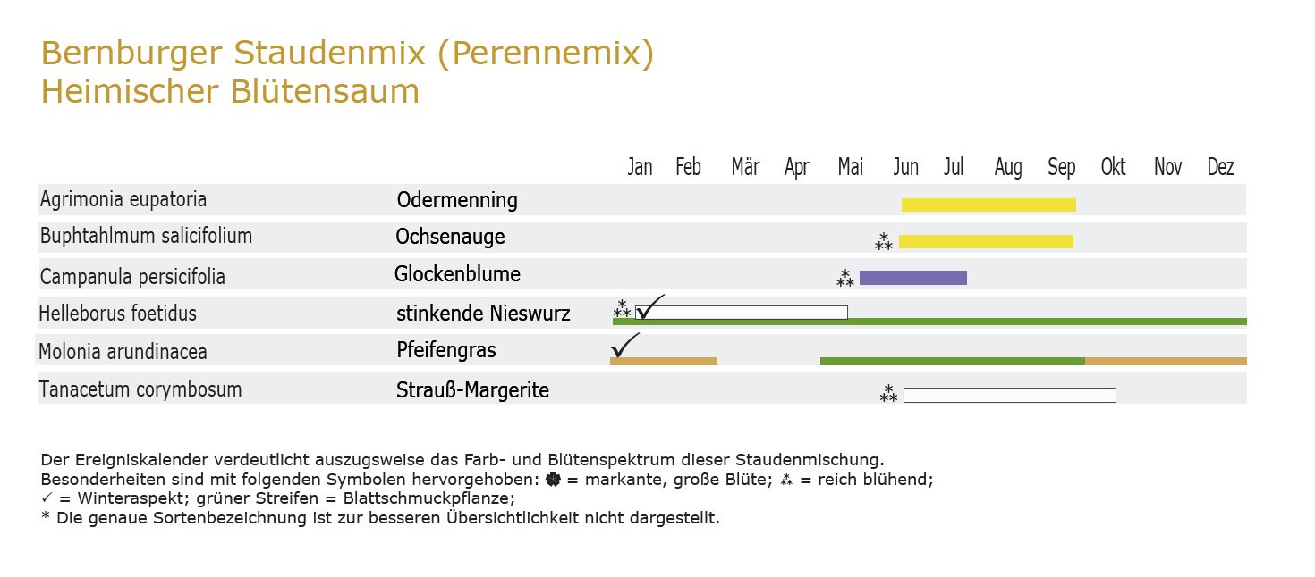 Heimischer Blütensaum - Staudenmischpflanzung als Fertigmischung vorgemischt