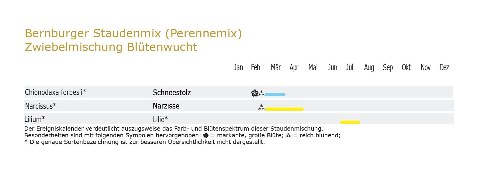 Blütenwucht - Zwiebel-und Knollenmischung