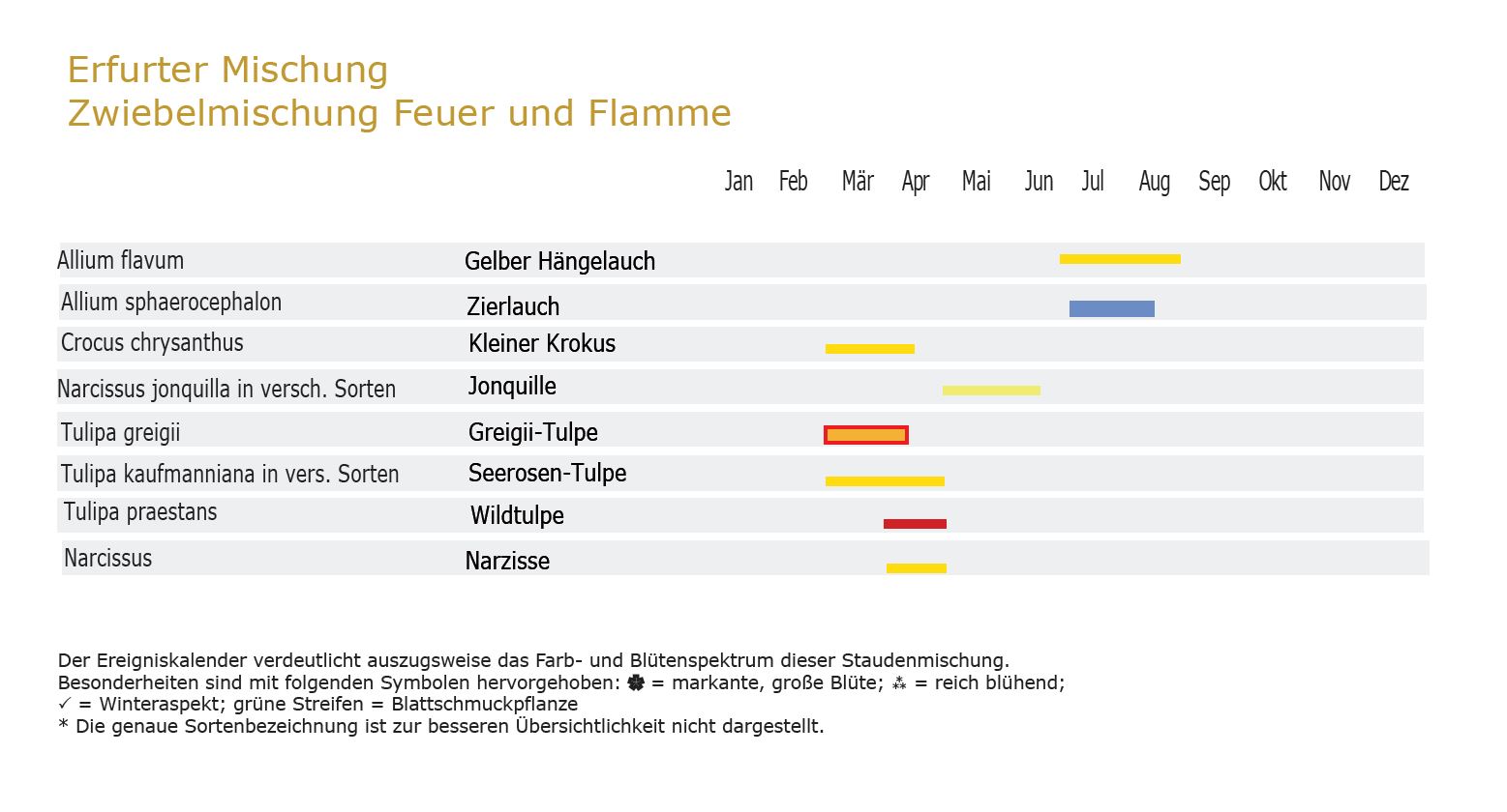 Feuer und Flamme - Zwiebel-und Knollenmischung