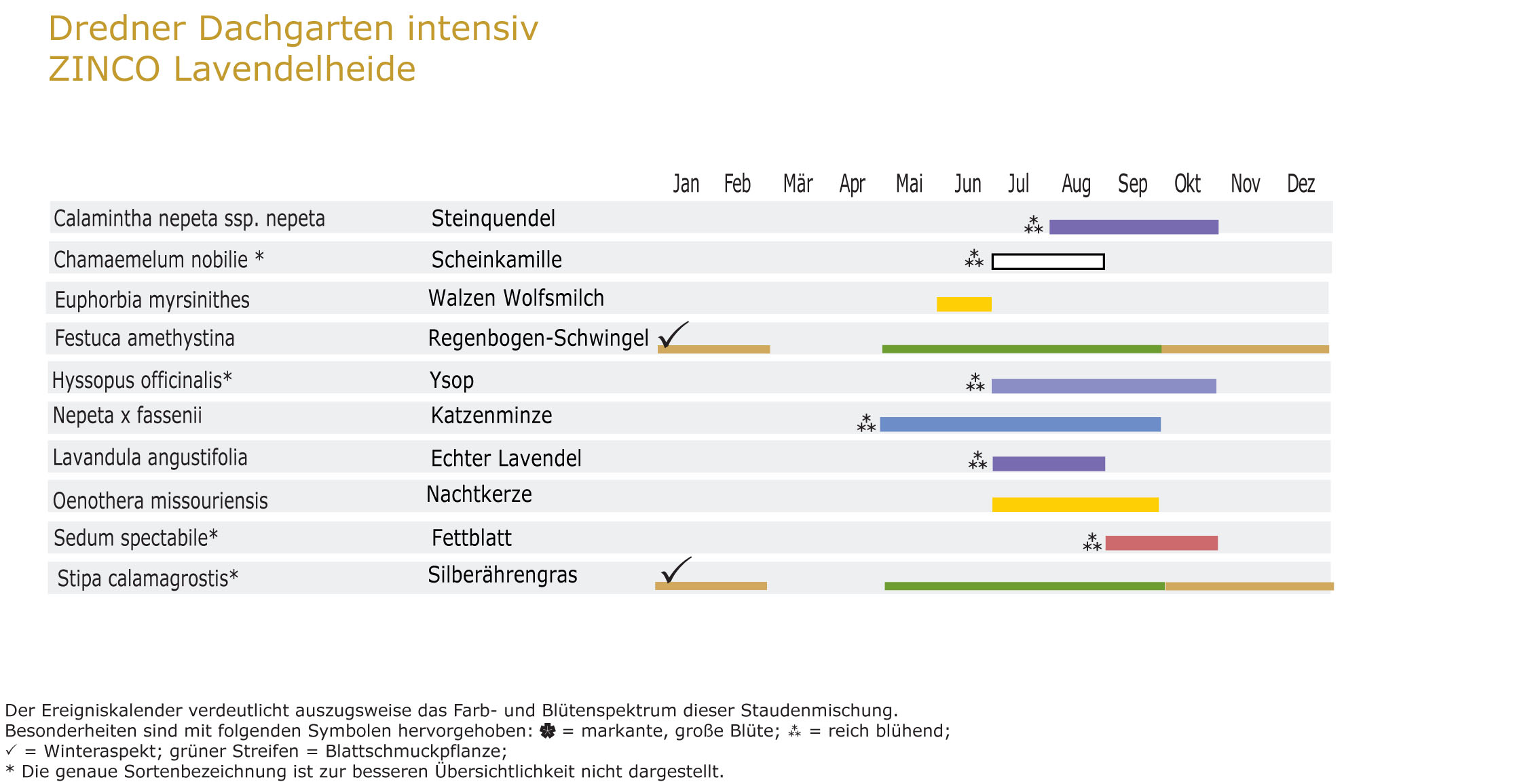 Lavendelheide - Staudenmischpflanzung