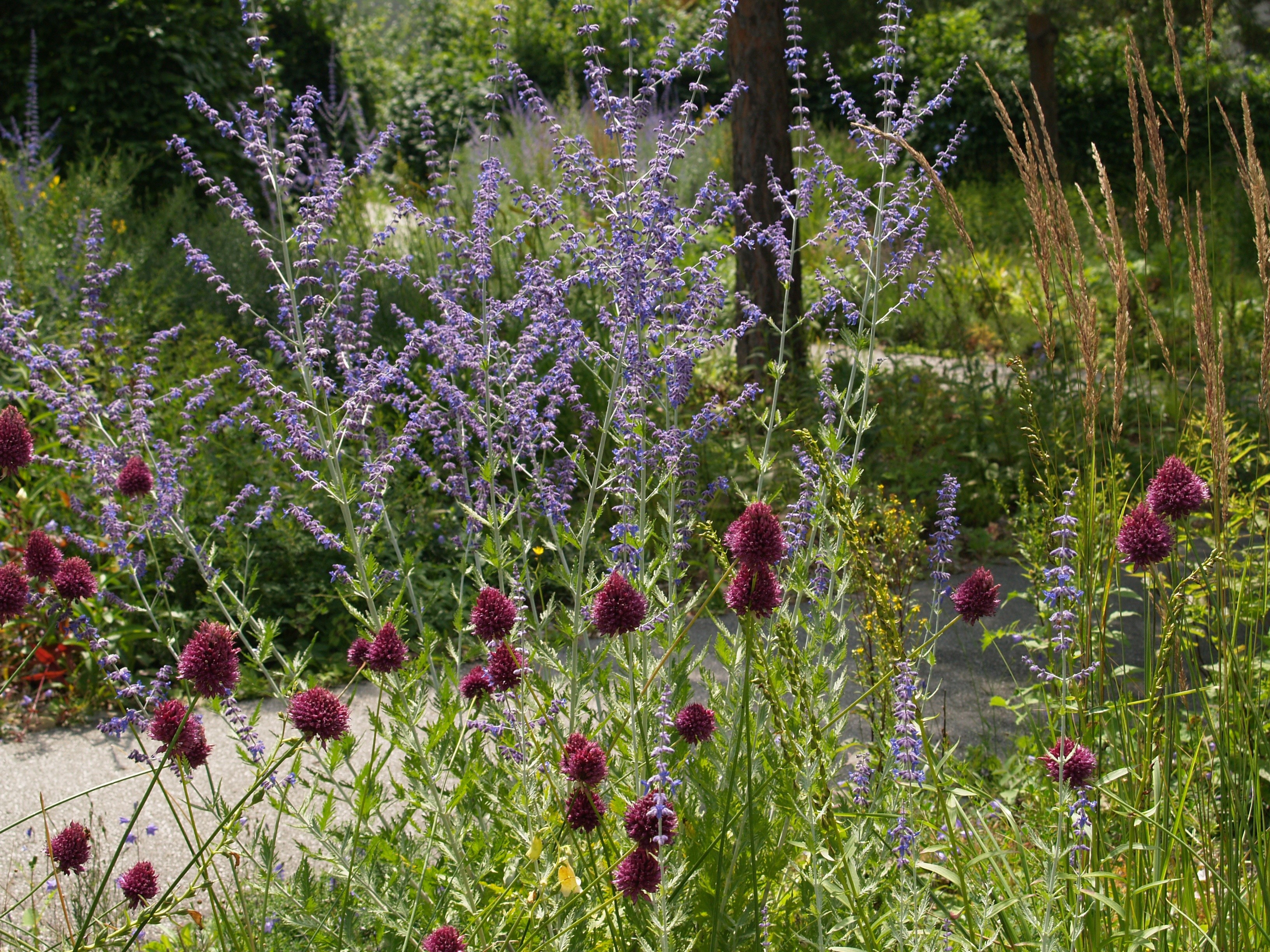 Gartenführung pflegeleichte Gärten