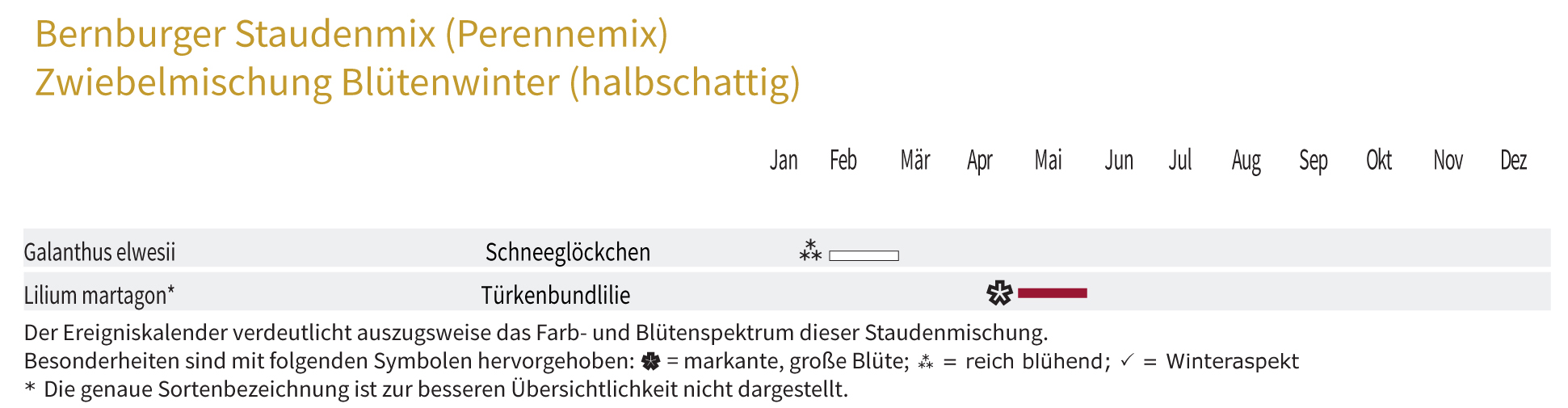 Blütenwinter (Halbschattig) - Zwiebel-und Knollenmischung