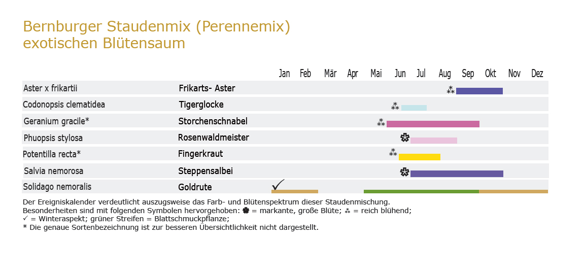 Exotischer Blütensaum - Staudenmischpflanzung als Fertigmischung vorgemischt