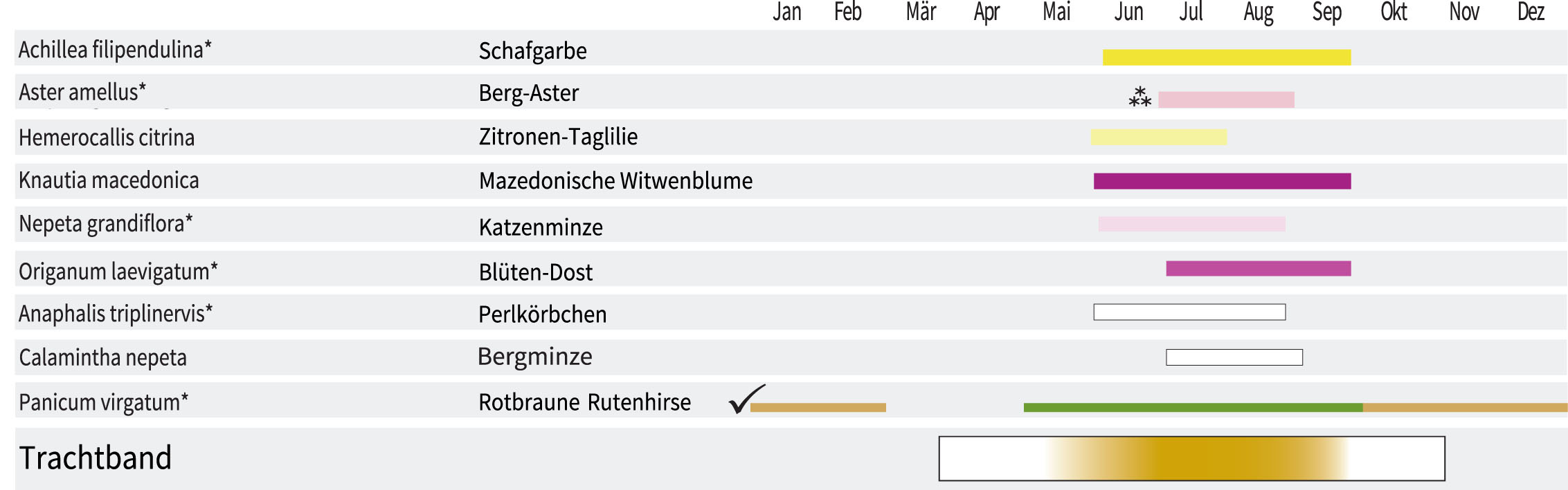 Farbenspiel - Staudenmischpflanzung als Fertigmischung vorgemischt