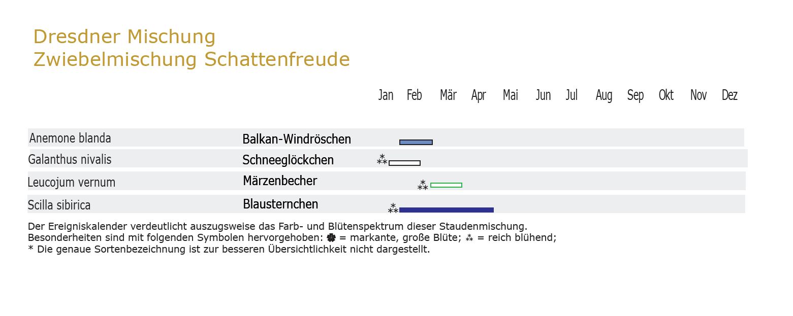 Schattenfreude - Zwiebel-und Knollenmischung