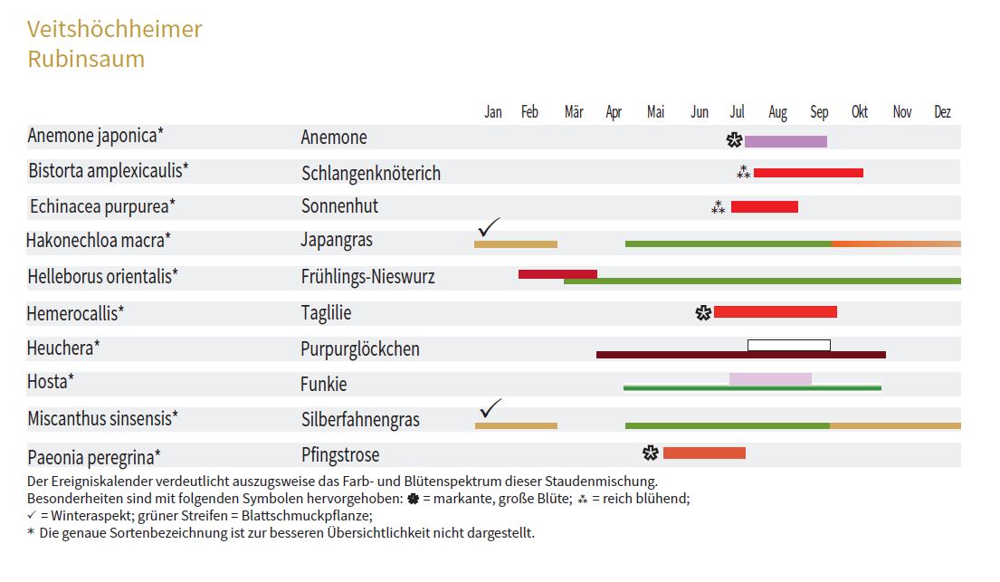 RUBINSAUM-Staudenmischpflanzung als Fertigmischung vorgemischt