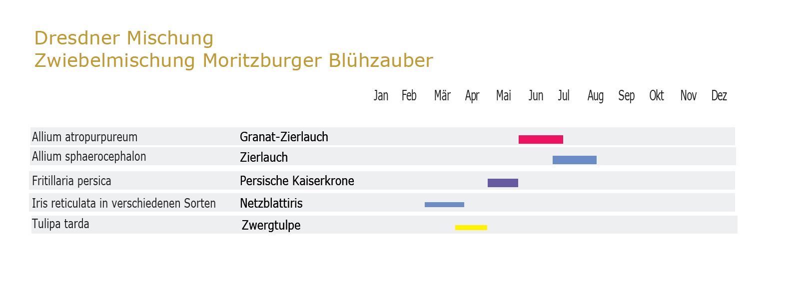 Moritzburger Blühzauber - Zwiebel-und Knollenmischung