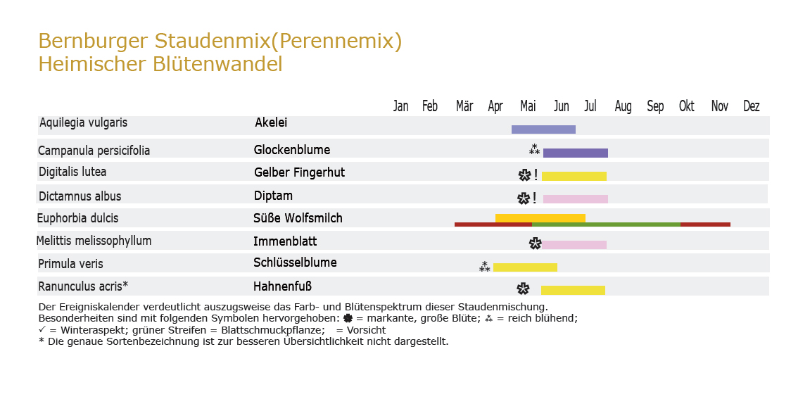 Heimischer Blütenwandel - Staudenmischpflanzung als Fertigmischung vorgemischt