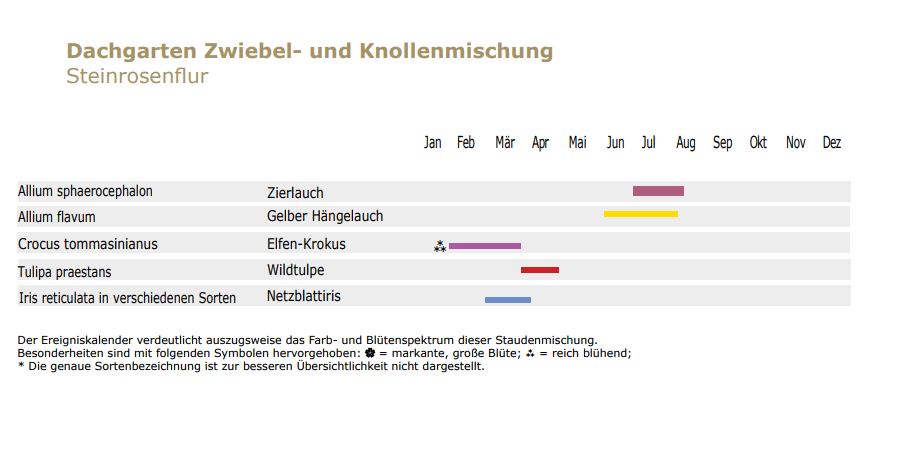 Steinrosenflur - Zwiebel-und Knollenmischung