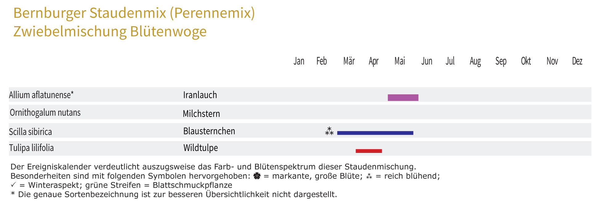 Blütenwoge - Zwiebel-und Knollenmischung