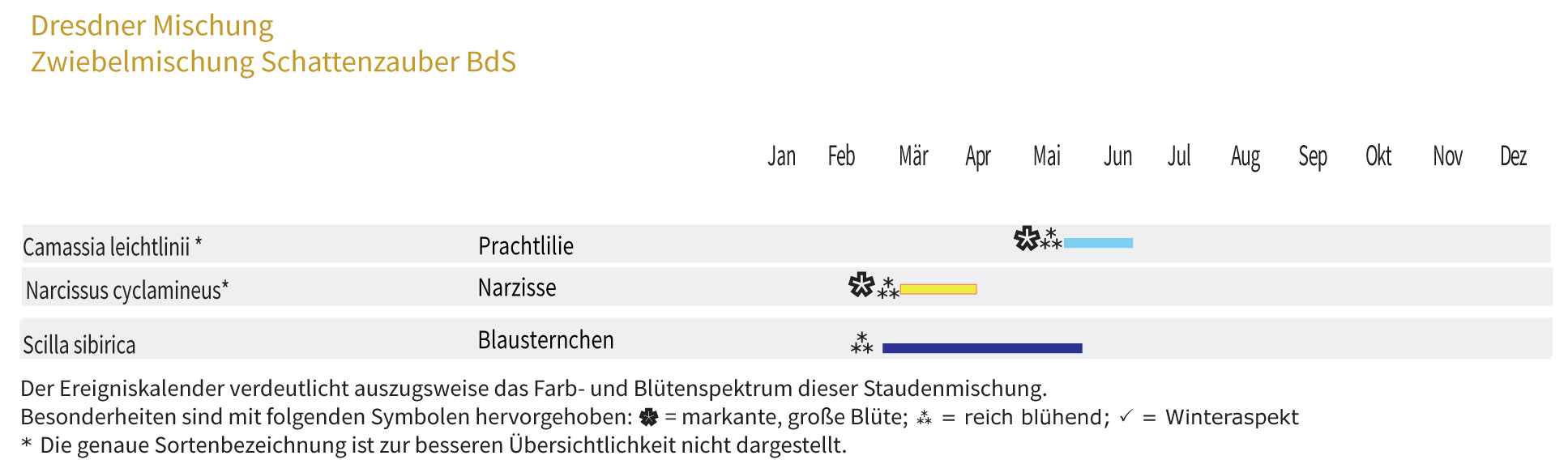 SCHATTENZAUBER - Zwiebel-und Knollenmischung