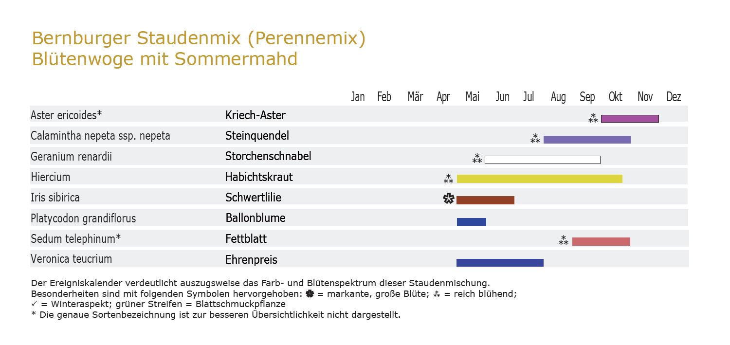 Blütenwoge mit Sommermahd - Staudenmischpflanzung als Fertigmischung vorgemischt