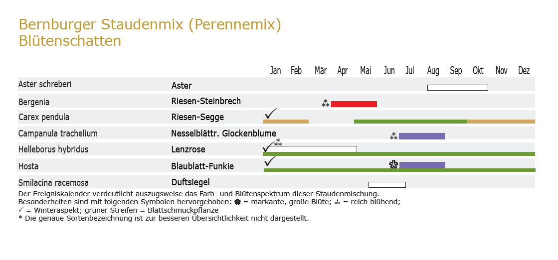 Blütenschatten - Staudenmischpflanzung als Fertigmischung vorgemischt