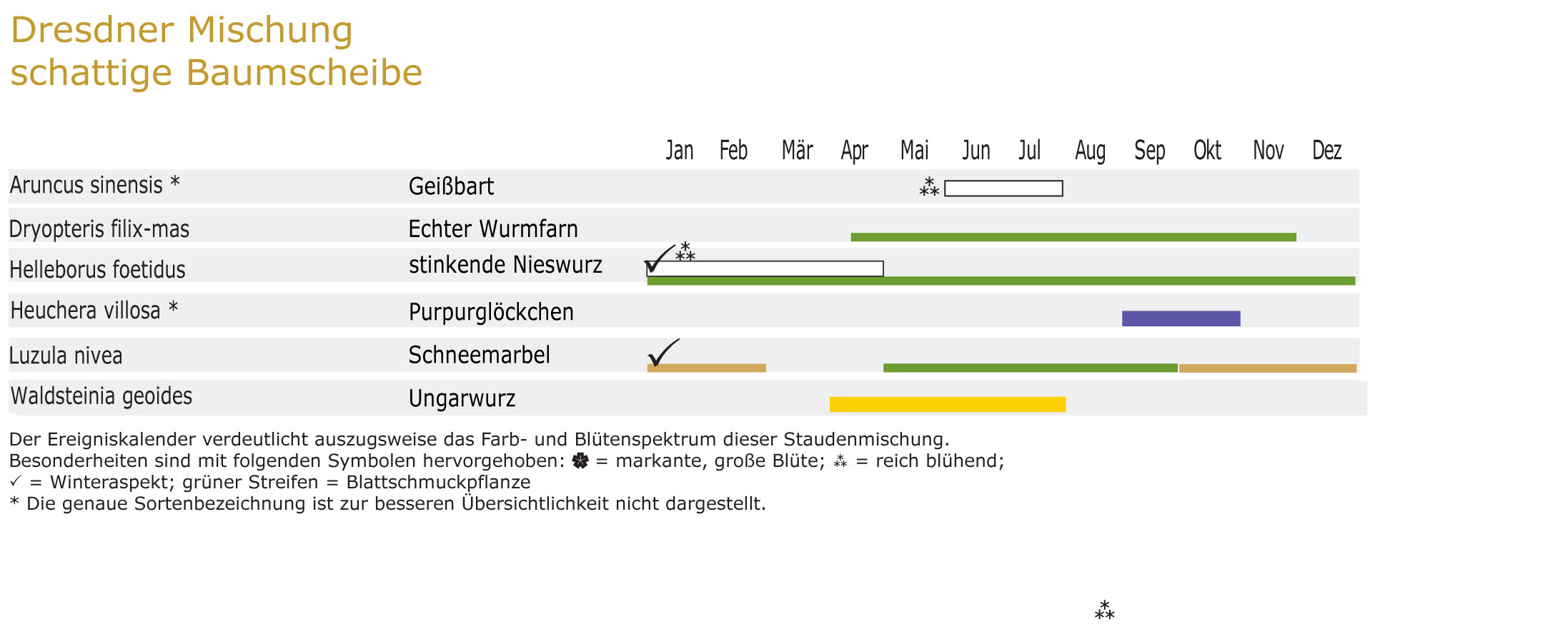 Schattige Baumscheibe - Staudenmischpflanzung als Fertigmischung vorgemischt