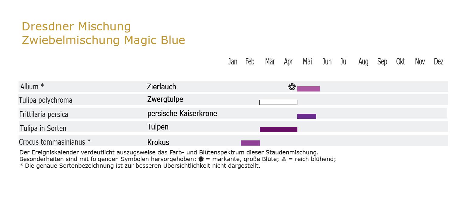 Magic Blue - Zwiebel-und Knollenmischung