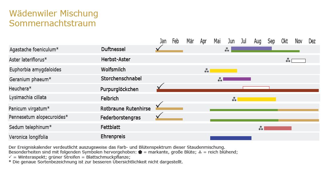 Sommernachtstraum - Staudenmischpflanzung als Fertigmischung vorgemischt