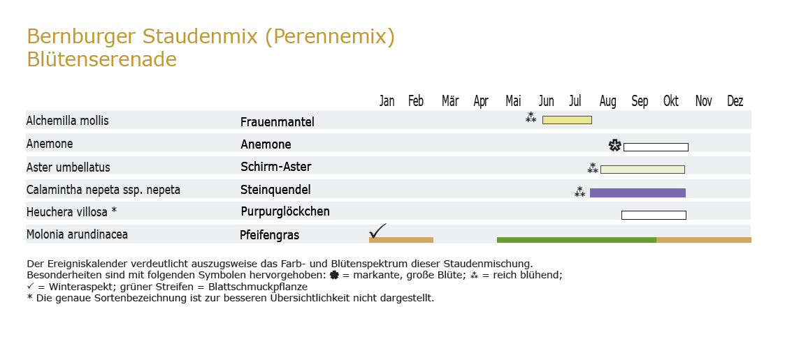 Blütenserenade - Staudenmischpflanzung als Fertigmischung vorgemischt