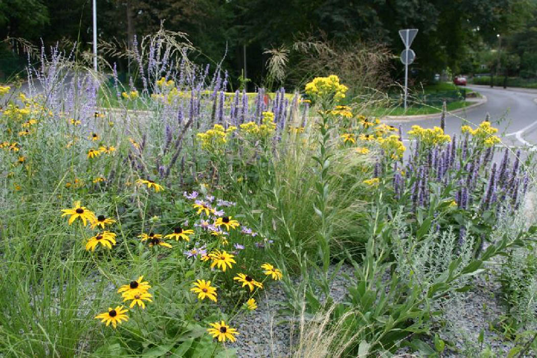 Erfurter kleiner Indianersommer