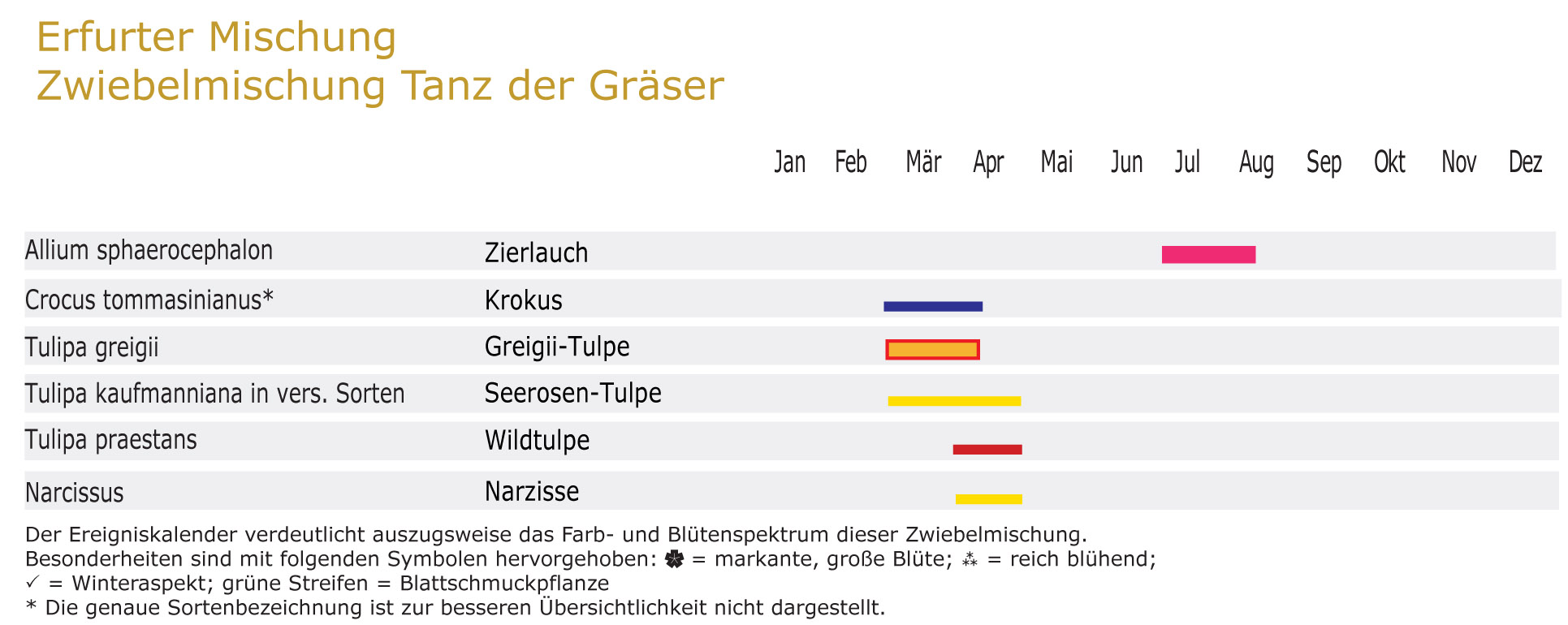 Tanz der Gräser - Zwiebel-und Knollenmischung