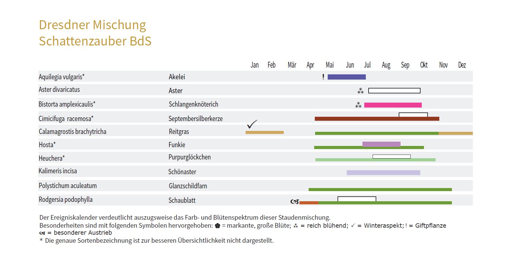 SCHATTENZAUBER - Staudenmischpflanzung als Fertigmischung vorgemischt