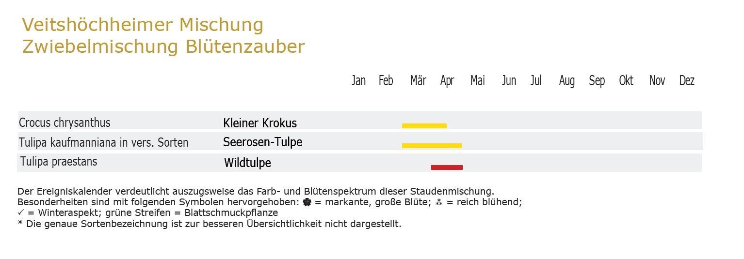 Blütenzauber - Zwiebel-und Knollenmischung