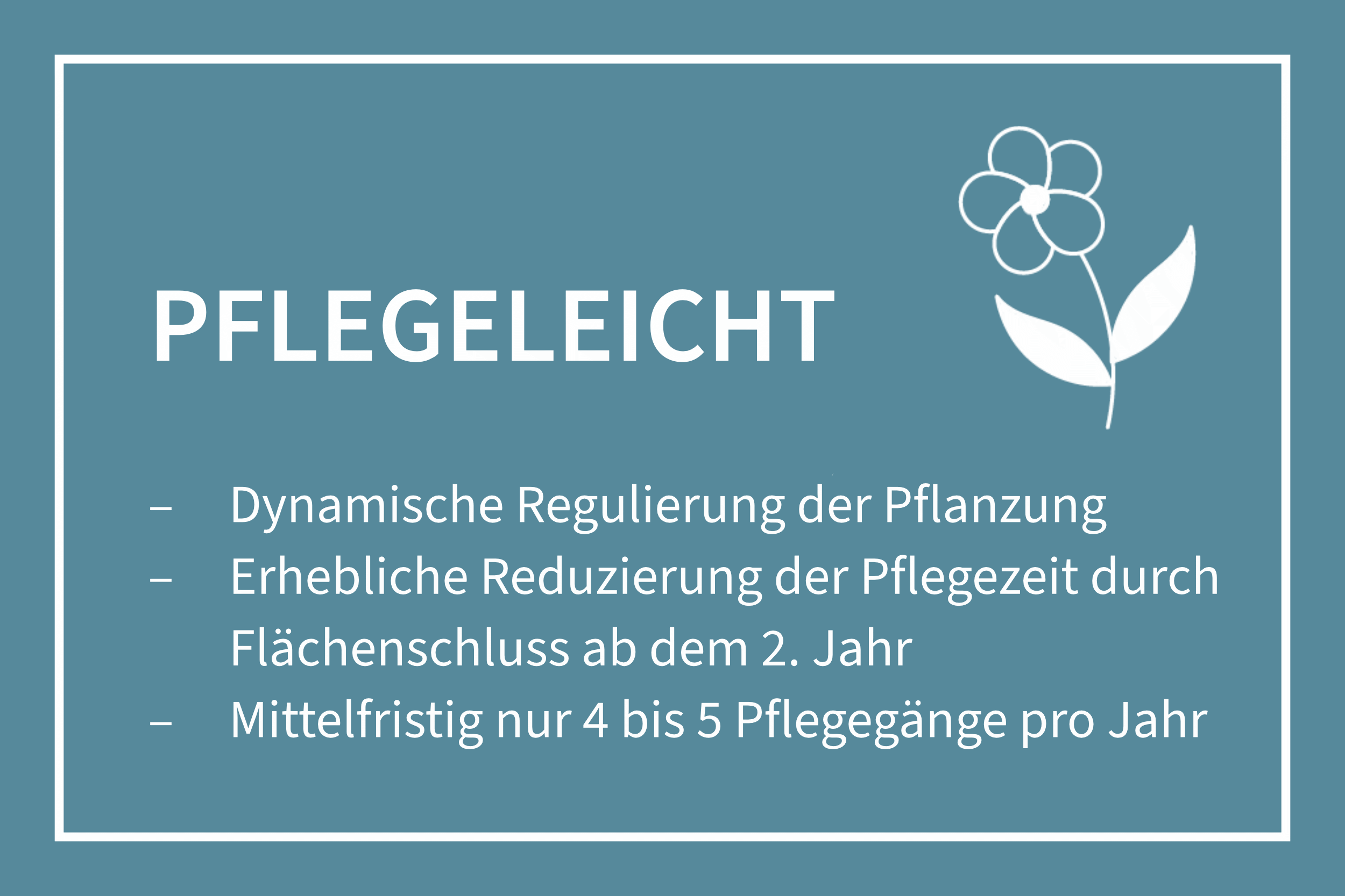 Banner-Grafik mit Text: Pflegeleicht - dynamische Regulierung, erhebliche Reduzierung der Pflegezeit durch Flächenschluss ab dem 2. Jahr, nur 4 bis 5 Pflegegänge pro Jahr