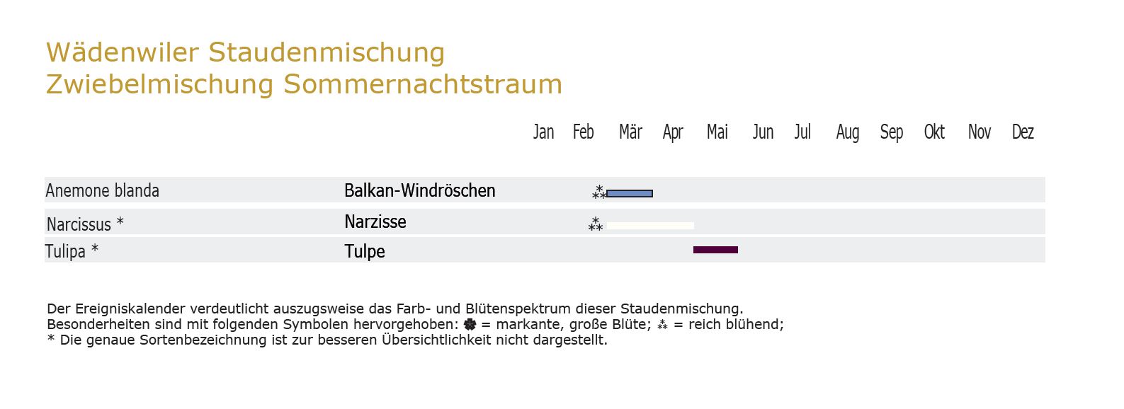 Sommernachtstraum - Zwiebel-und Knollenmischung