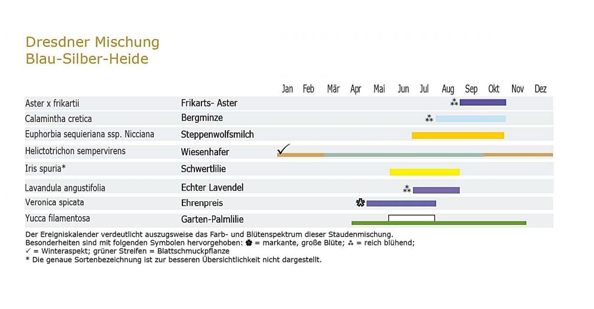 Blau-Silber-Heide - Staudenmischpflanzung  als Fertigmischung pflanzfertig vorgemischt