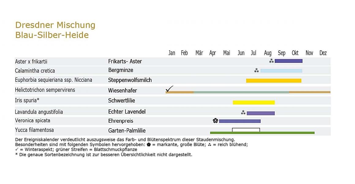 Blau-Silber-Heide - Staudenmischpflanzung fertig vorgemischt