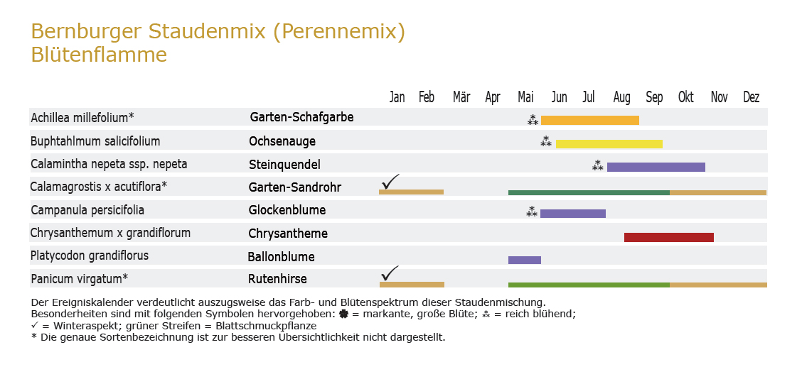 Blütenflamme - Staudenmischpflanzung als Fertigmischung vorgemischt